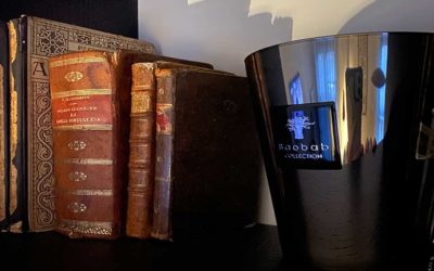 DIARIO DE LECTURAS VERANO 2022